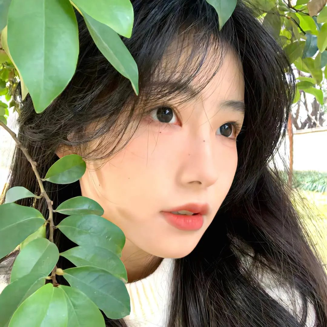 闭门一家千粤语